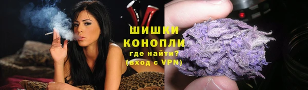тгк Дрезна