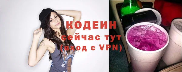 прущий лед Осташков